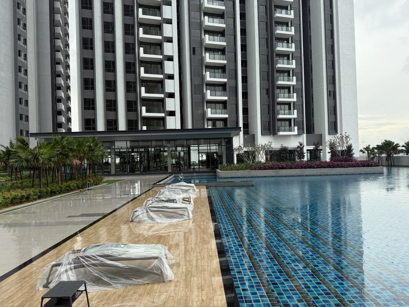 GEM Residences游泳池和塔楼的实景照片